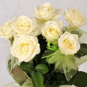 Piękny bukiet 7 róż eqrue